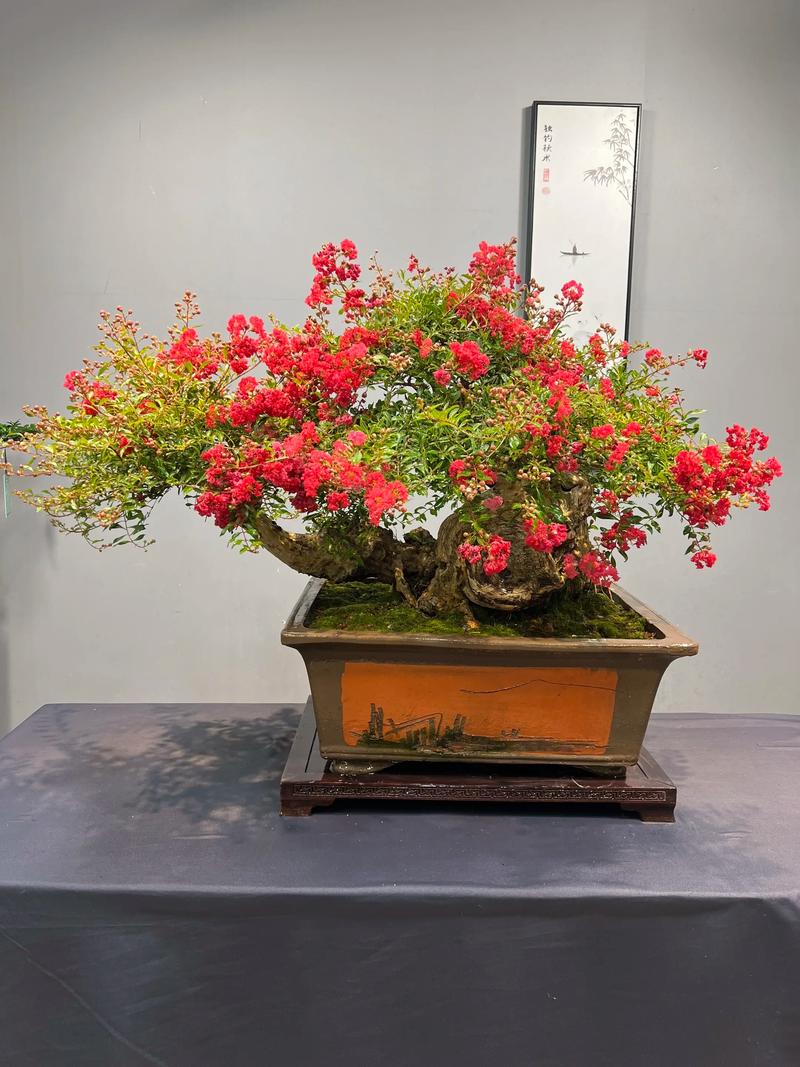 紫薇盆景养护有哪些关键管理方法？-第2张图片-宁夏农业信息网