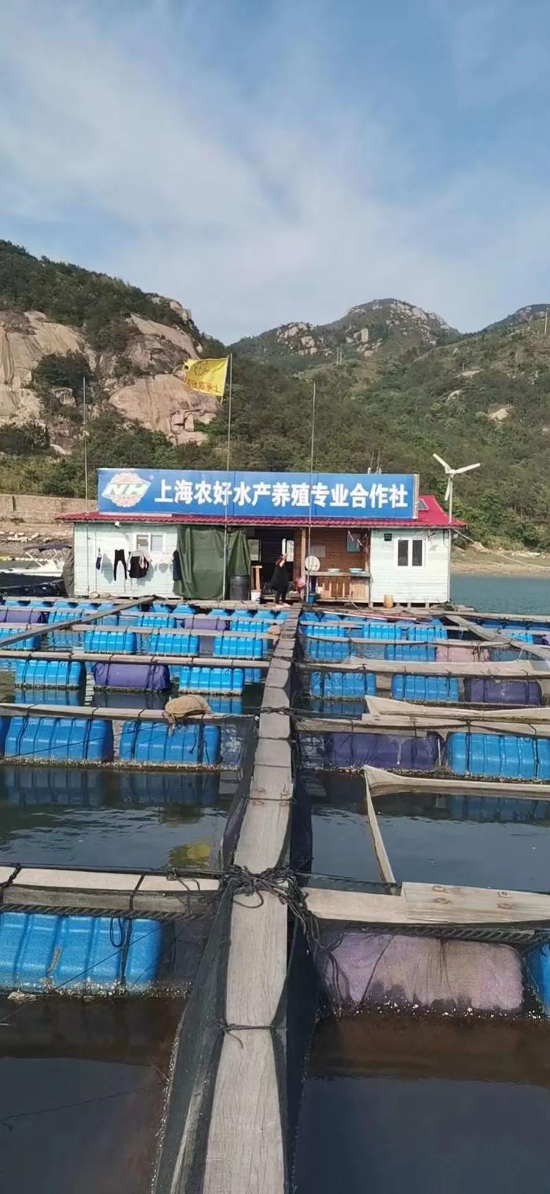 中国水产养殖代理批发如何选择靠谱渠道？-第3张图片-宁夏农业信息网