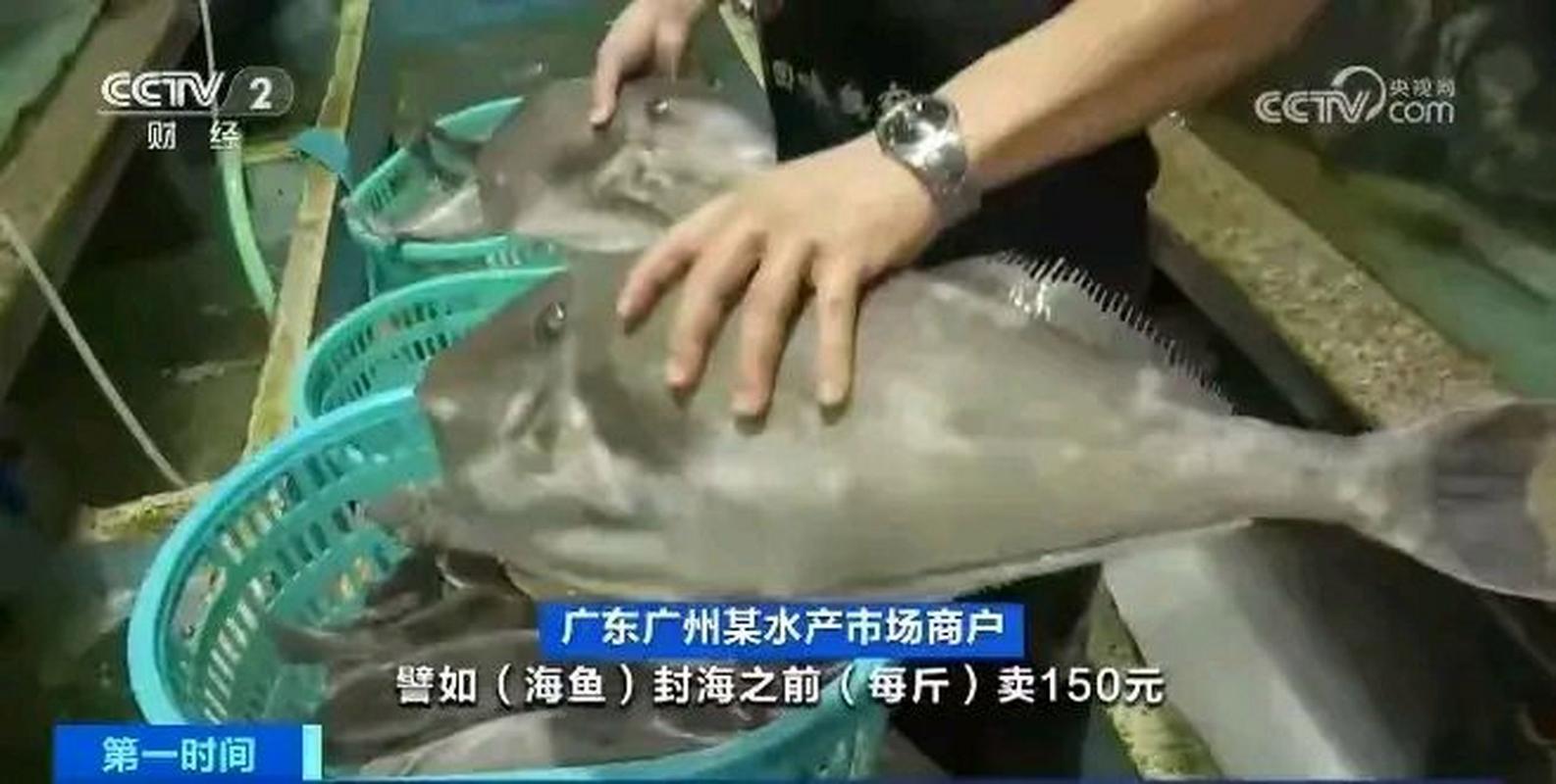 广州黄沙水产价格图片最新行情如何？-第1张图片-宁夏农业信息网