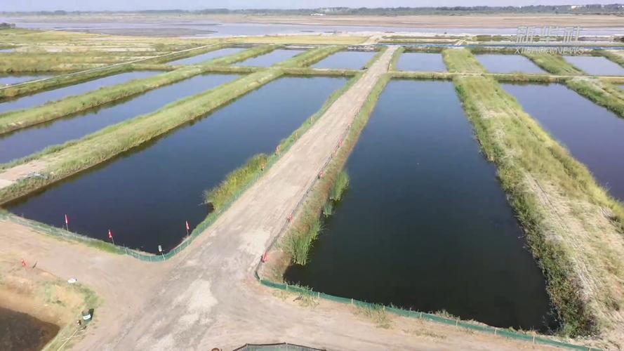 新疆哪些城市适合水产养殖？-第1张图片-宁夏农业信息网