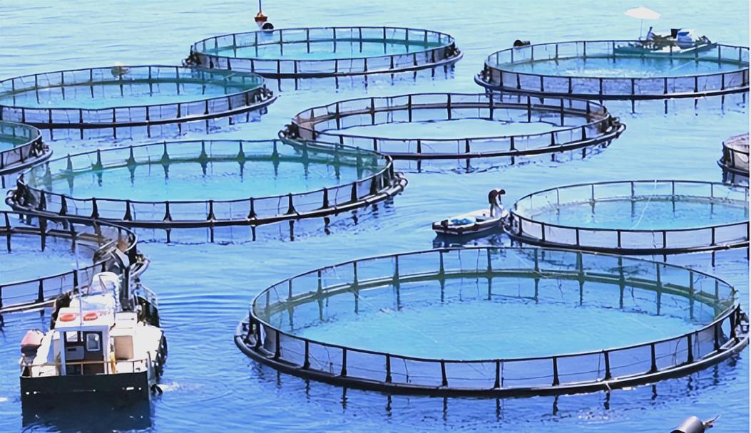 新疆哪些城市适合水产养殖？-第3张图片-宁夏农业信息网