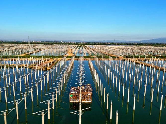 水产基地养殖用电如何配套才高效?-第1张图片-宁夏农业信息网 水产基地养殖用电如何配套才高效?-第1张图片-宁夏农业信息网