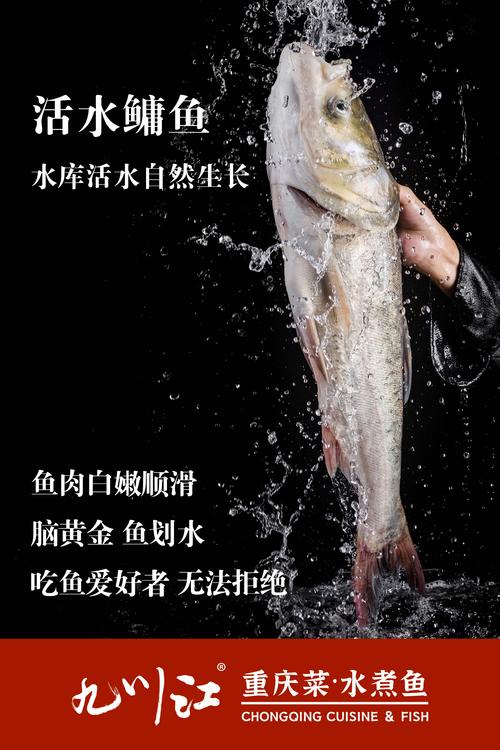 水产健康养殖宣传口号，哪些更接地气？-第2张图片-宁夏农业信息网