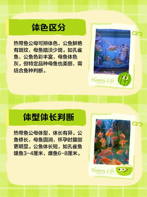 水产动物遗传育种如何突破种质瓶颈？-第2张图片-宁夏农业信息网