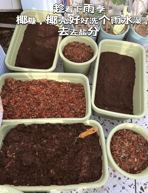 培养土的杀菌和消毒方法-第1张图片-宁夏农业信息网