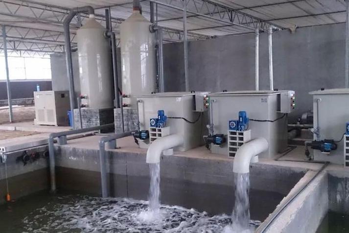 以色列水产养殖起源于何时何地？-第3张图片-宁夏农业信息网