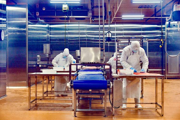 全球水产加工企业哪家强？-第2张图片-宁夏农业信息网