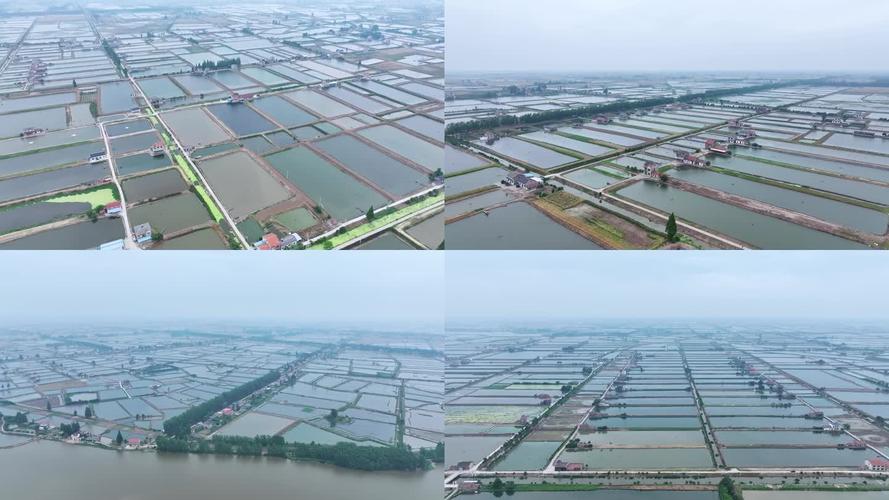 朝鲜淡水水产加工基地有何独特优势?-第1张图片-宁夏农业信息网 朝鲜淡水水产加工基地有何独特优势?-第1张图片-宁夏农业信息网