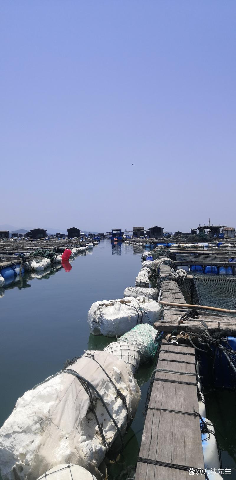 朝鲜淡水水产加工基地有何独特优势?-第2张图片-宁夏农业信息网 朝鲜淡水水产加工基地有何独特优势?-第2张图片-宁夏农业信息网