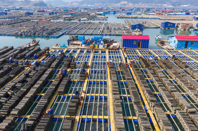 朝鲜淡水水产加工基地有何独特优势？-第3张图片-宁夏农业信息网