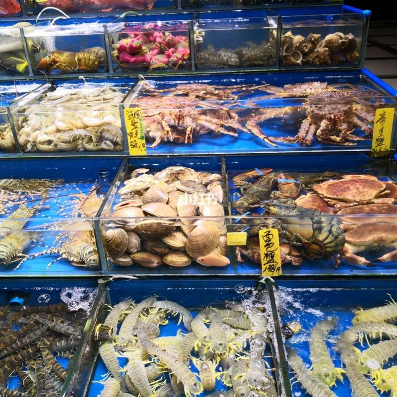 东方国际水产市场几点开门营业？-第3张图片-宁夏农业信息网