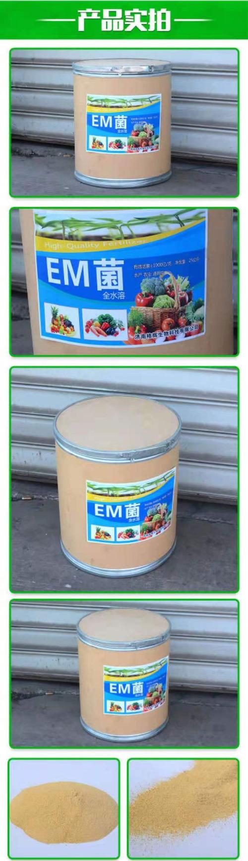 水产养殖益生菌有哪些？-第1张图片-宁夏农业信息网