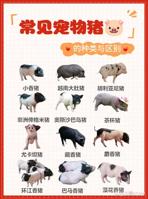 常见养殖品种有哪些？看图了解！-第1张图片-宁夏农业信息网
