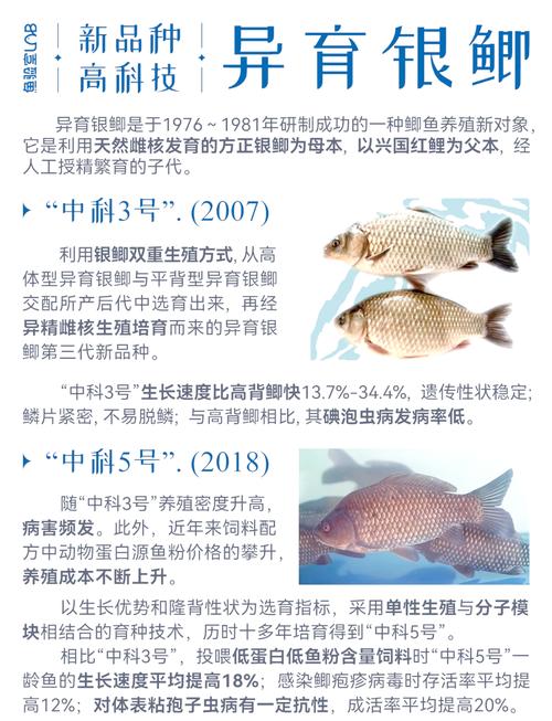 水产养殖品种及养殖规模-第2张图片-宁夏农业信息网