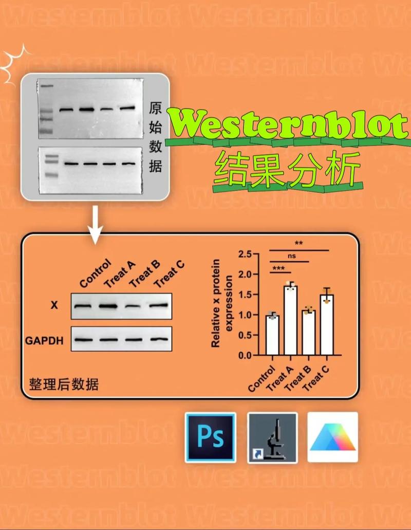 品种比较试验中非试验因素如何控制？-第2张图片-宁夏农业信息网