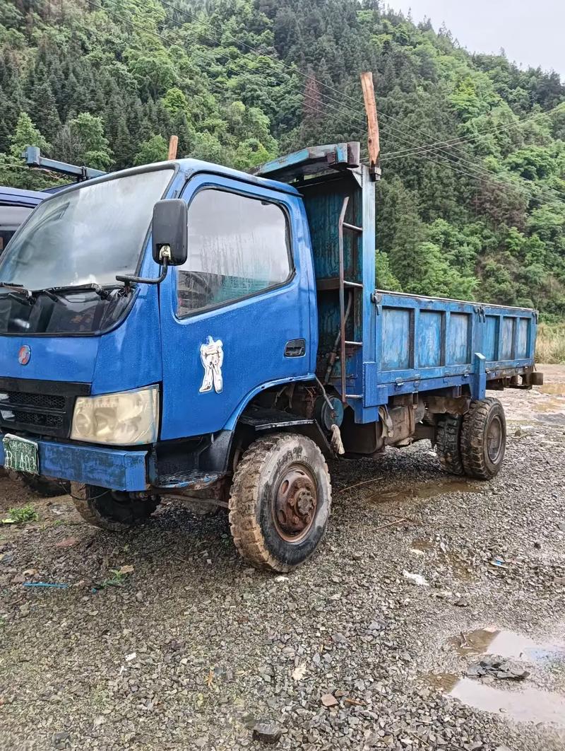 中国农用车图片有哪些车型？-第2张图片-宁夏农业信息网