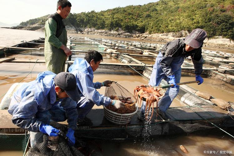 株洲水产养殖技术专业就业前景如何？-第2张图片-宁夏农业信息网