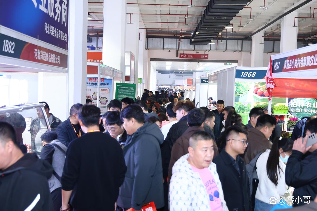 北京2025水产销售趋势如何？-第3张图片-宁夏农业信息网