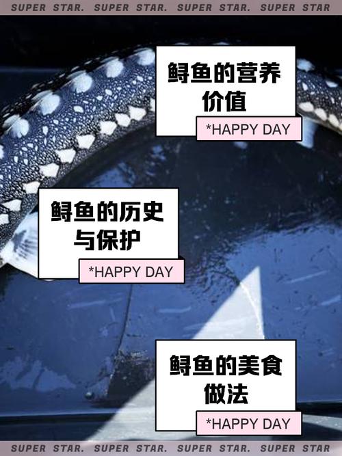 黄沙水产市场鲟鱼价格多少钱一斤?-第3张图片-宁夏农业信息网 黄沙水产市场鲟鱼价格多少钱一斤?-第3张图片-宁夏农业信息网