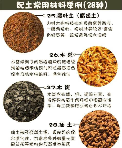 朱顶红营养土怎么配才合适?-第3张图片-宁夏农业信息网 朱顶红营养土怎么配才合适?-第3张图片-宁夏农业信息网