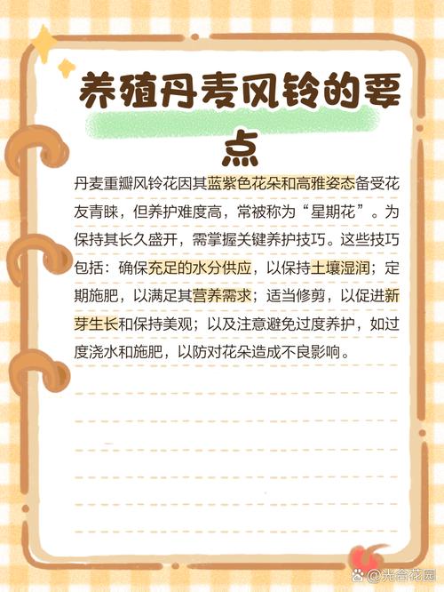 丹麦风铃花冬天怎么养？-第3张图片-宁夏农业信息网