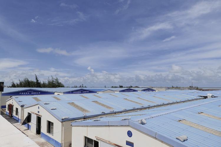 海南水产养殖种苗公司有何优势？-第1张图片-宁夏农业信息网