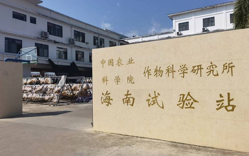 海南水产养殖种苗公司有何优势？-第3张图片-宁夏农业信息网