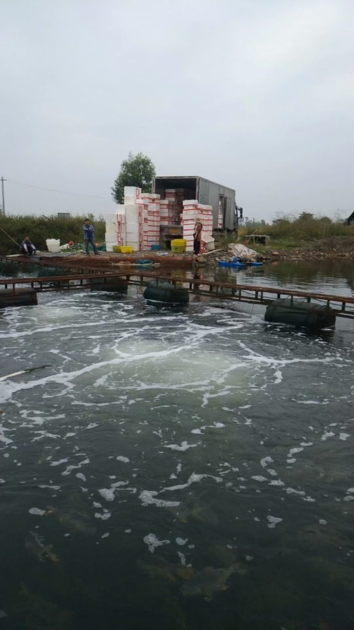 溶菌酶水产养殖能用吗？-第3张图片-宁夏农业信息网