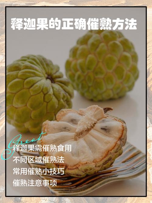 释迦果怎么催熟最快？-第3张图片-宁夏农业信息网