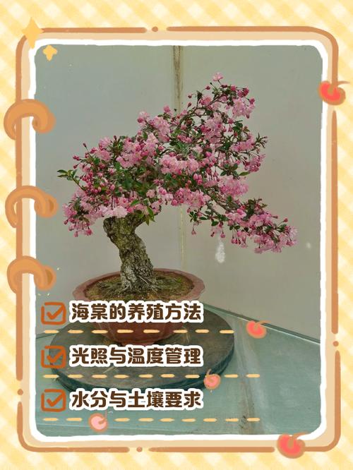 盆栽海棠花怎么养才开花?-第1张图片-宁夏农业信息网 盆栽海棠花怎么养才开花?-第1张图片-宁夏农业信息网