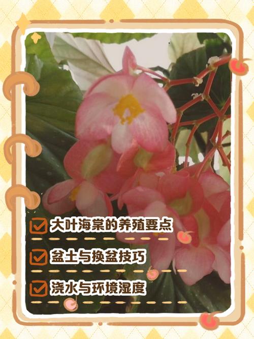 盆栽海棠花怎么养才开花?-第2张图片-宁夏农业信息网 盆栽海棠花怎么养才开花?-第2张图片-宁夏农业信息网