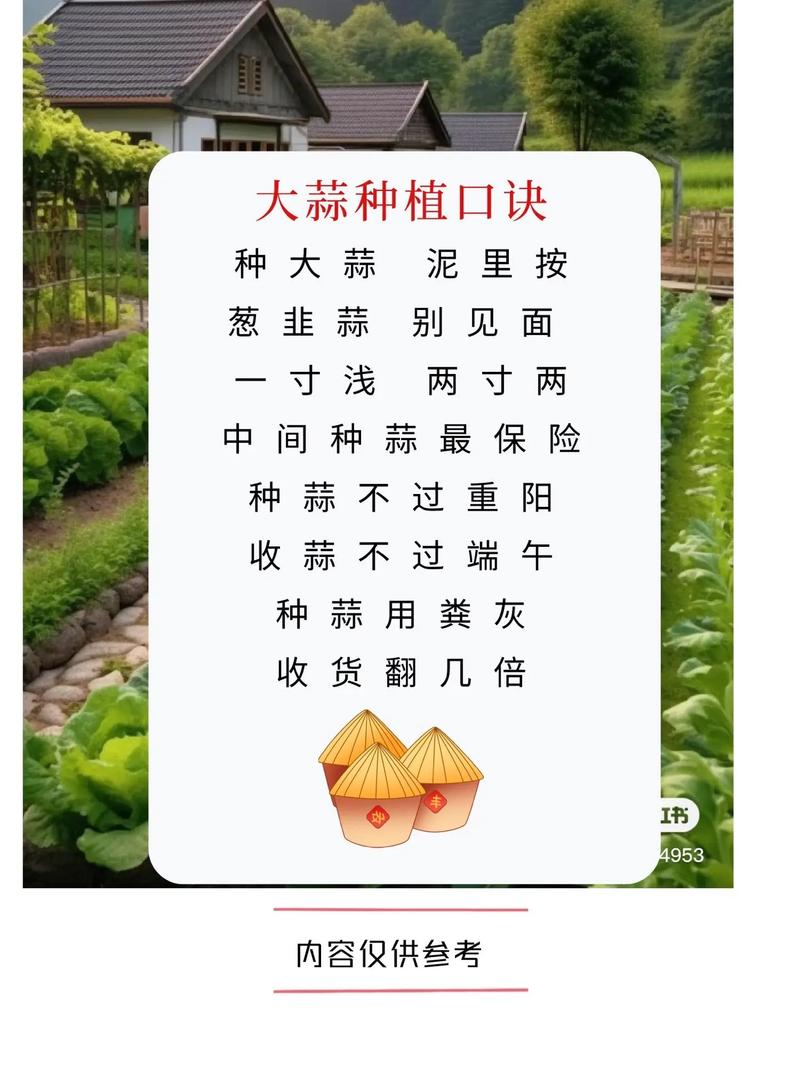 新手如何简单种大蒜?-第2张图片-宁夏农业信息网 新手如何简单种大蒜?-第2张图片-宁夏农业信息网