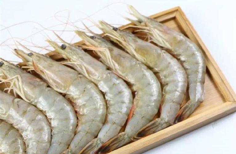 南美白对虾那种品种最好-第1张图片-宁夏农业信息网 南美白对虾那种品种最好-第1张图片-宁夏农业信息网