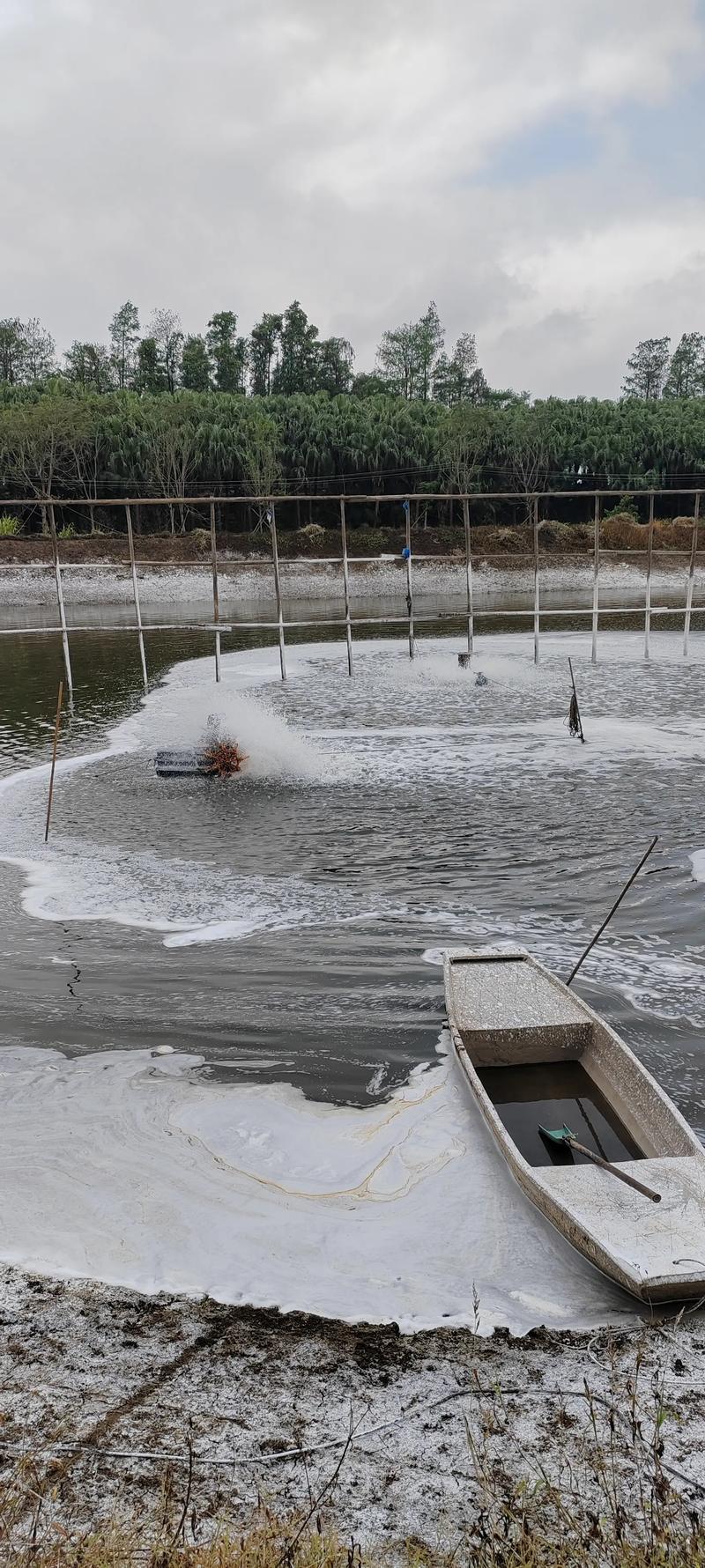 巴基斯坦水产养殖现状如何？-第3张图片-宁夏农业信息网