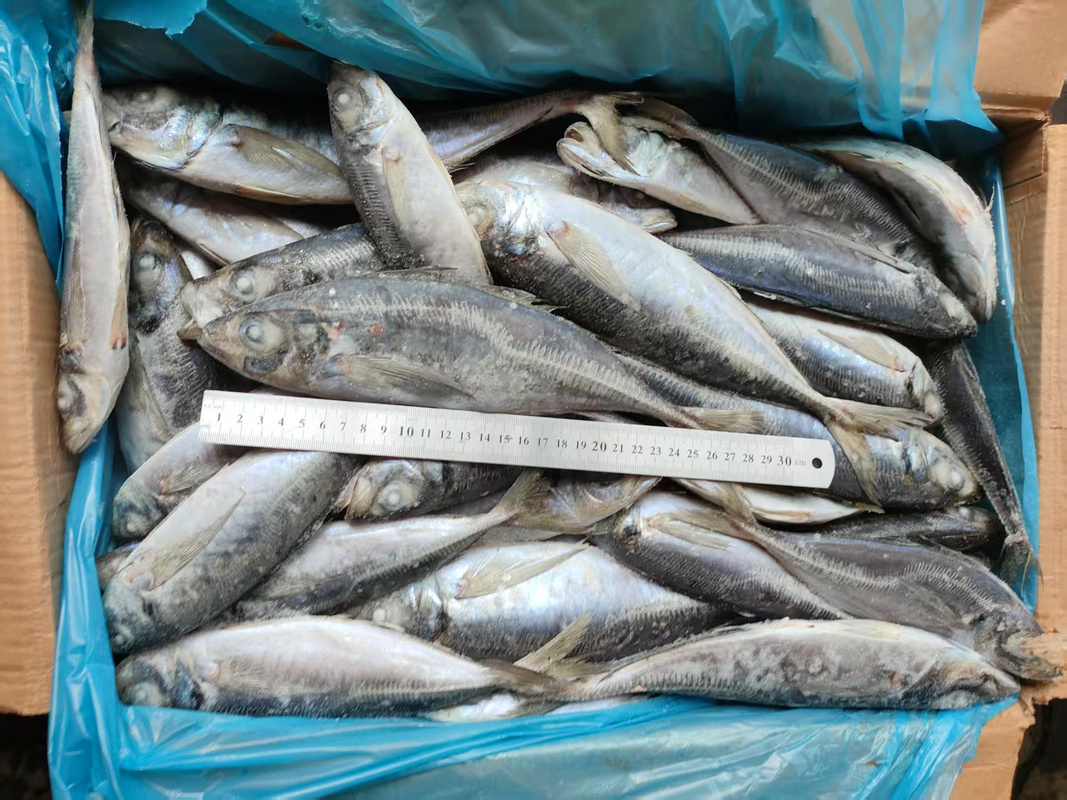 泉州水产主要养殖什么？-第2张图片-宁夏农业信息网