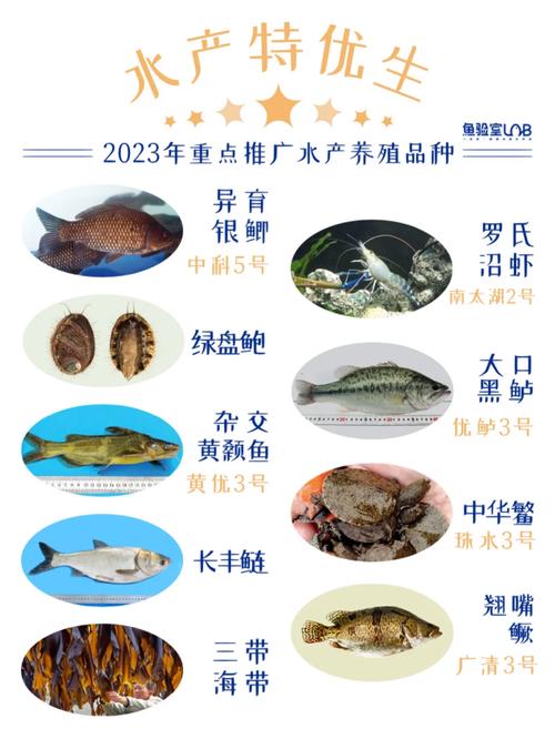 特色水产养殖品种有哪些?-第1张图片-宁夏农业信息网 特色水产养殖品种有哪些?-第1张图片-宁夏农业信息网