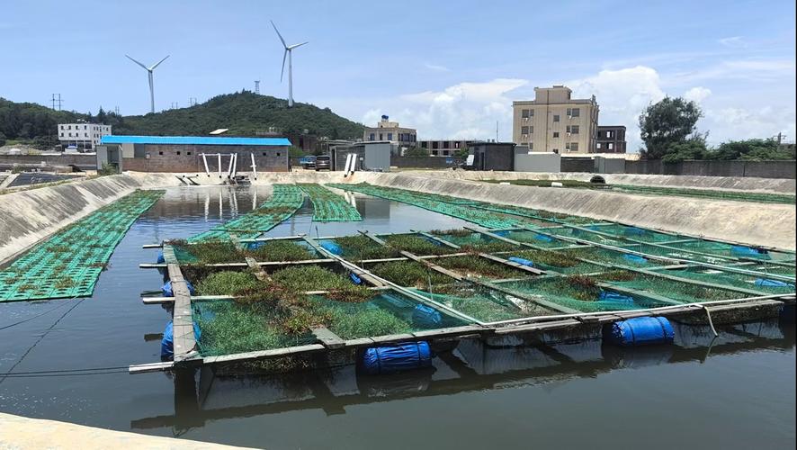 海南水产养殖行业现状如何？-第1张图片-宁夏农业信息网