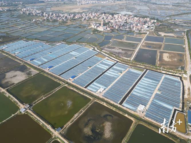 海南水产养殖行业现状如何？-第2张图片-宁夏农业信息网