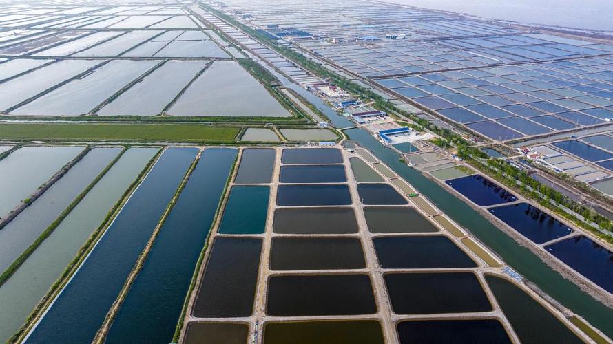盐城射阳水产养殖用地如何规划利用？-第1张图片-宁夏农业信息网