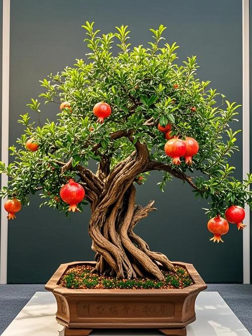 哪种石榴盆景品种最小巧？-第1张图片-宁夏农业信息网