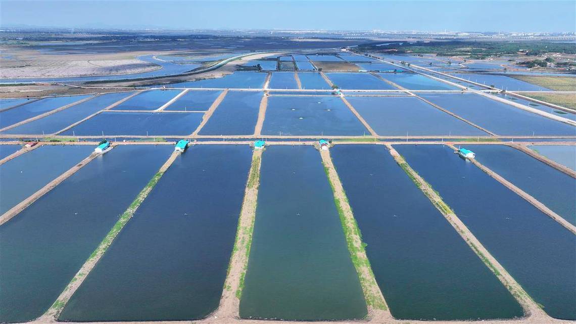 高原特色水产养殖如何突破瓶颈？-第2张图片-宁夏农业信息网