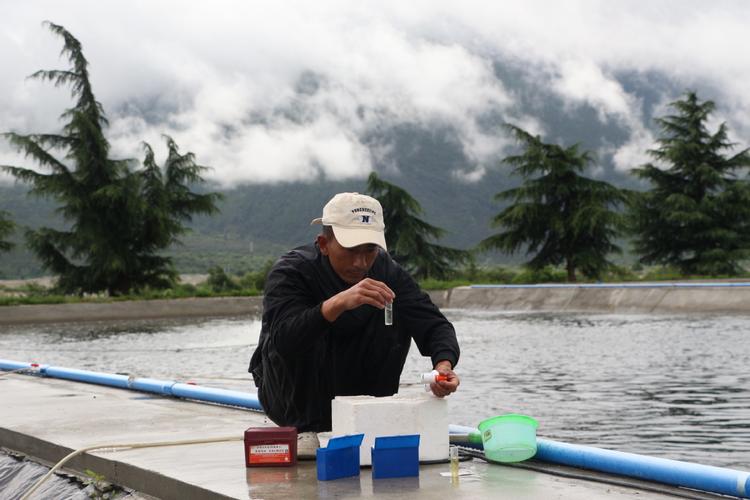 高原特色水产养殖如何突破瓶颈？-第3张图片-宁夏农业信息网