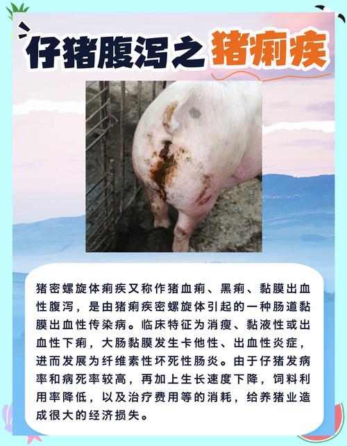 猪常见症状如何对症治疗？-第2张图片-宁夏农业信息网