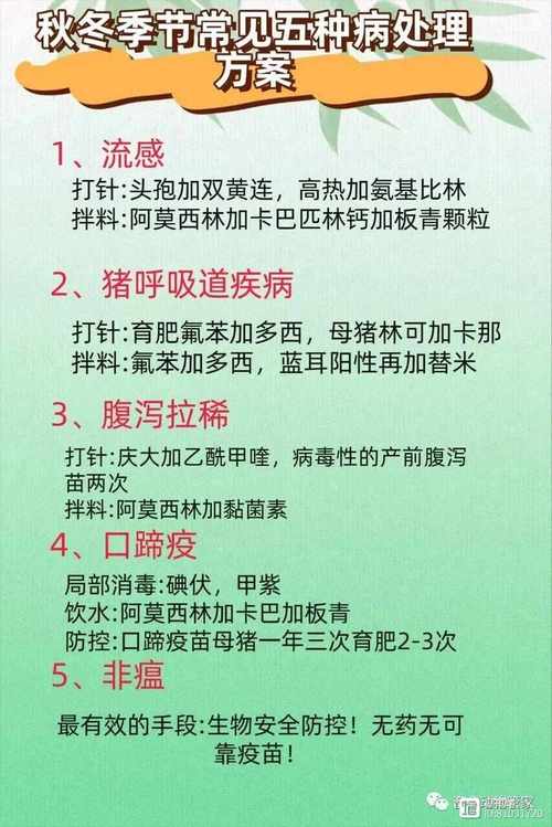 猪常见症状如何对症治疗？-第3张图片-宁夏农业信息网