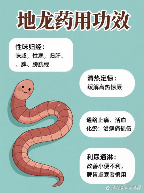 哪些蚯蚓品种能入药?-第1张图片-宁夏农业信息网 哪些蚯蚓品种能入药?-第1张图片-宁夏农业信息网