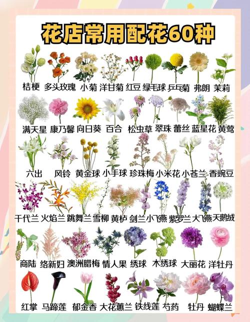 花卉品种与名称大全图片有哪些?-第2张图片-宁夏农业信息网 花卉品种与名称大全图片有哪些?-第2张图片-宁夏农业信息网