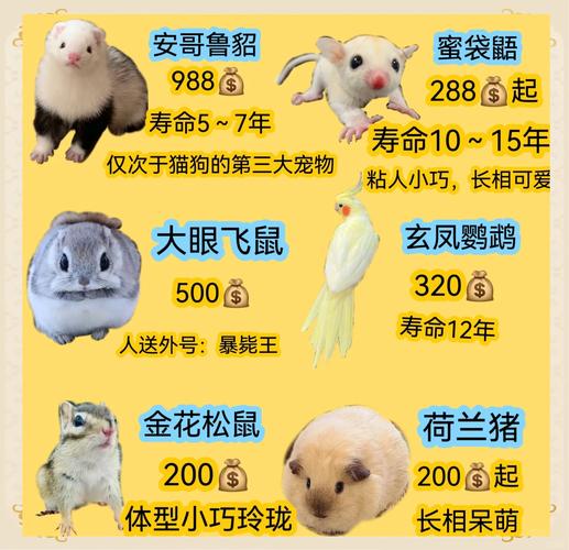 家庭小型养殖选什么品种合适？-第1张图片-宁夏农业信息网