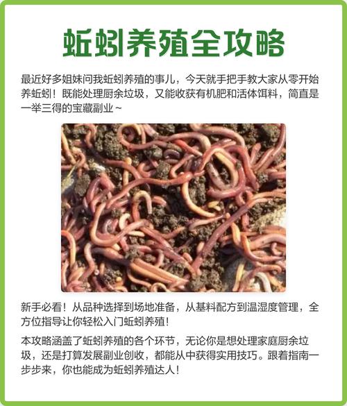 北方蚯蚓养殖什么品种好-第2张图片-宁夏农业信息网