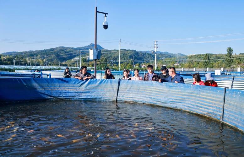 水产养殖实时现状如何？-第1张图片-宁夏农业信息网