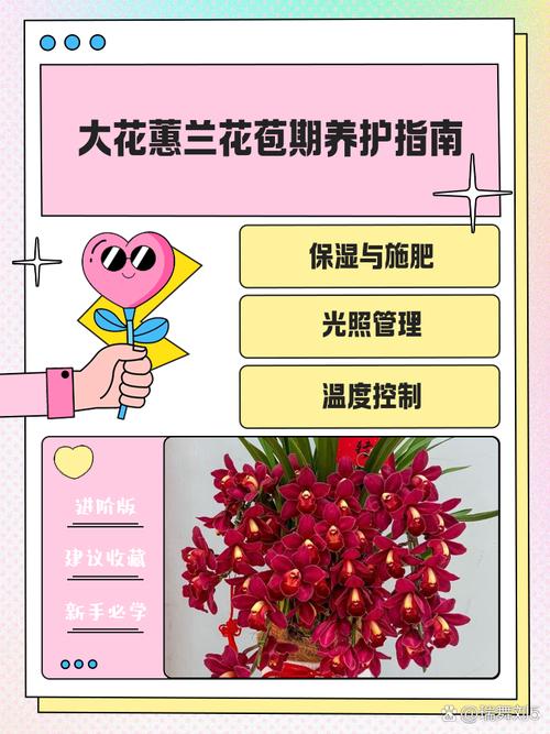 大花蕙兰花怎么养殖方法-第1张图片-宁夏农业信息网